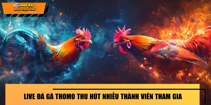 live-da-ga-thomo-thu-hut-nhieu-thanh-vien-tham-gia