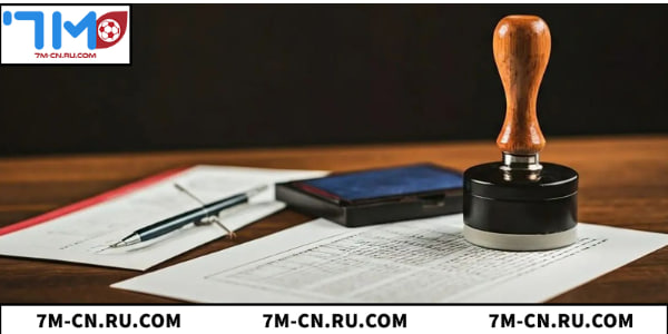 Khám phá chi tiết về giấy phép hoạt động